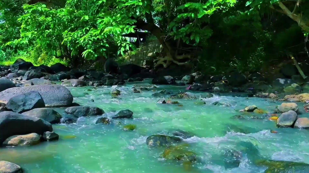 Fall Asleep to Nature’s Calm – Healing River Sounds for Deep Sleep & Stress Relief