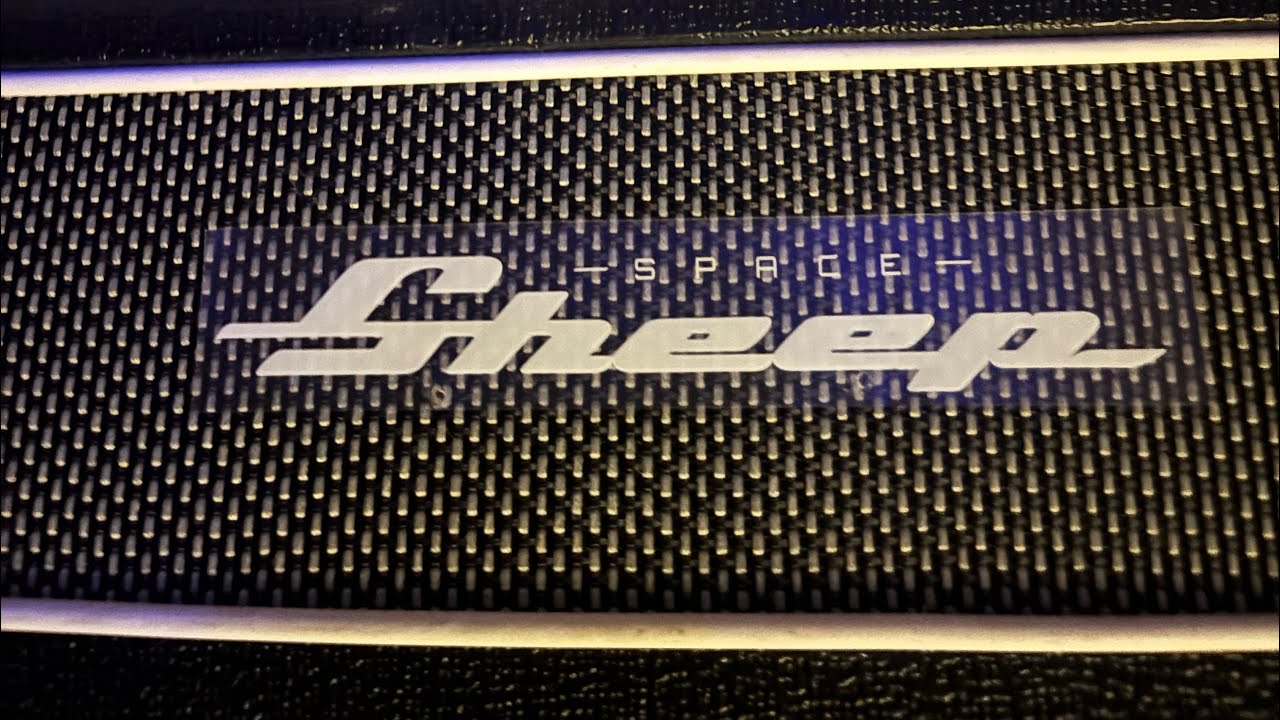 Space Sheep - Idaho swamp rock