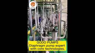 GODO PUMPS, diaphragm pump expert with core technologies.
