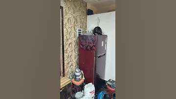 Cat Video 🐱😻😾//#youtube #short #cat #cats #lovecats #usa #diy #catvlog #everyone