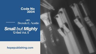 Rsyslog Small but Mighty Vol. 5  for 12-Bell - Brenda E. Austin Guide