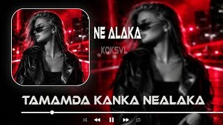 TAMAMDA KANKA NE ALAKA ( Çaya Geçelim , Çorbaya Geçelim ) KOK$VL 