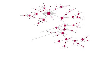 Temporal network representation of the Barabási-Albert preferential attachment model.