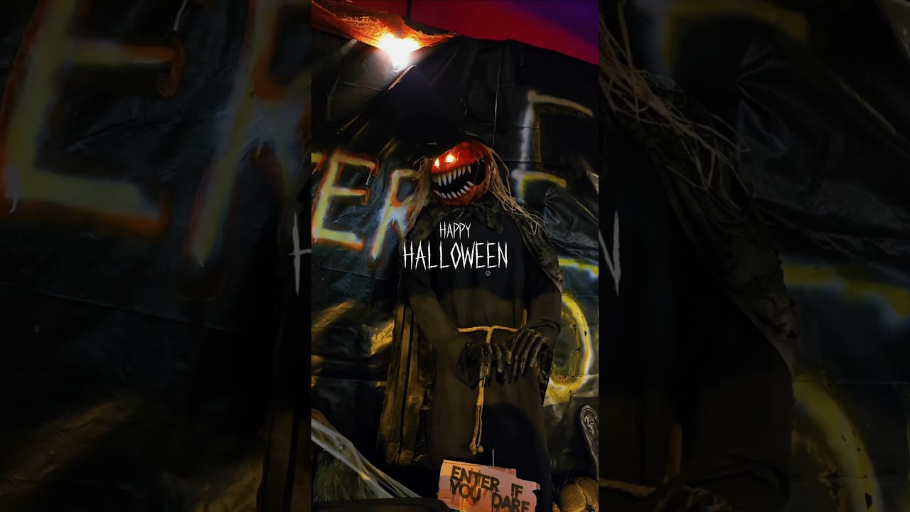 PumpkinPatch in Westpalmbeach: MrJackolantern 🎃 