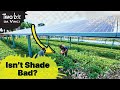 Growing Crops & Solar Panels Shouldn't Make Sense...