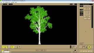 onyx tree tutorial