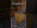 POV: You let your friend to do redstone stuff!