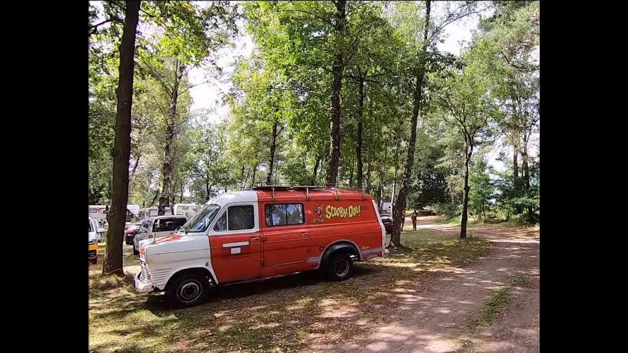 Lüneburger Heide mit dem Ford Transit MK1 Camper - August 2021