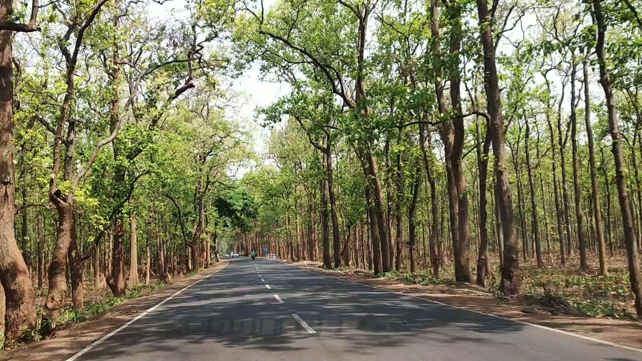 Beauty of west bengal || Salboni forest || Road trip ||