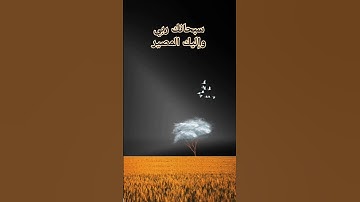 #القارئ #اكسبلور #قرآن #لايك #المراه #دويتو #المراره #تيك_توك #البخل #ترندتيكتوك