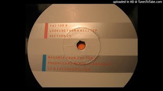 Section 25 ‎– Looking From A Hilltop [Megamix] 12 1984