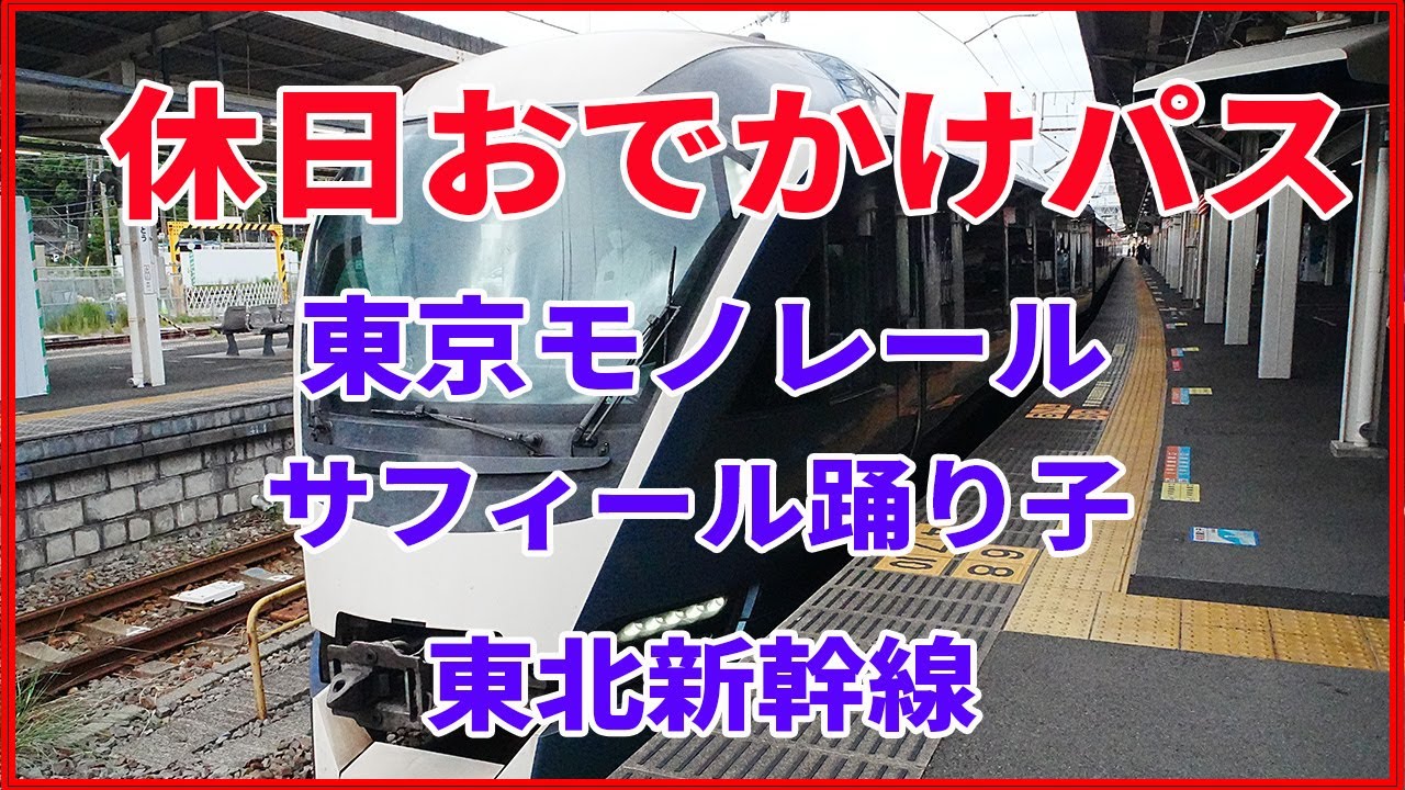 「休日おでかけパス」で特急サフィール踊り子、新幹線、東京モノレールに乗ってきました！