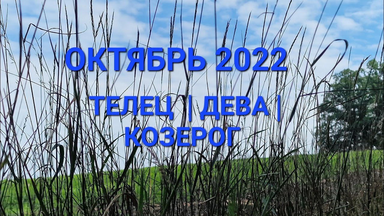 Октябрь 2022 | прогноз таро на месяц | стихия земля | телец, дева ...