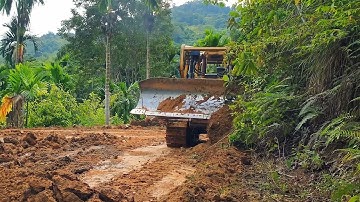 Excellent Ability of CAT D6R XL Bulldozer Operator in Making Roads on Plantations