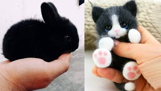 Cute baby animals Videos Compilation cute moment of the animals - Cutest Animals #46 by Funny TV 7,178 views 6 months ago 20 minutes