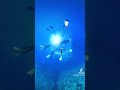 日本代表のユニフォームの青がキレイすぎる件