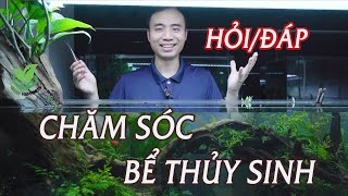 Q&A: Water change and how to take care of your aquarium