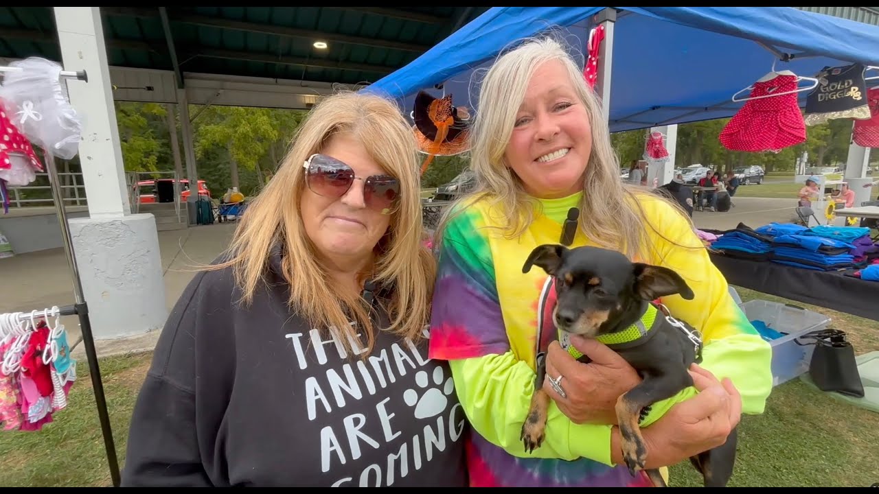 Watch the show: Volunteers, Diving Dalmatian & Bella Saved