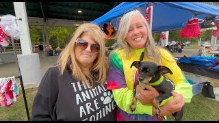 Watch the show: Volunteers, Diving Dalmatians & Bella Saved