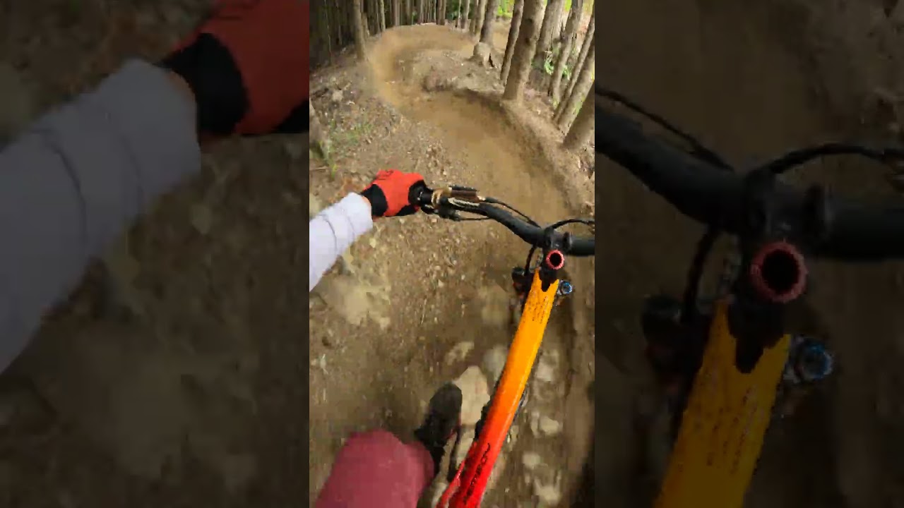 how can this BLUE TRAIL be SO FUN!?!