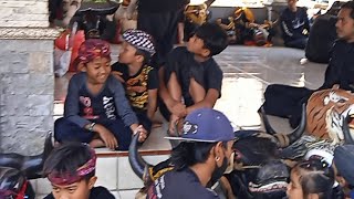 Banteng Bocil Mojorejo Pendem