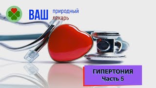 Гипертония. Часть 5. Лечение Народными Средствами.