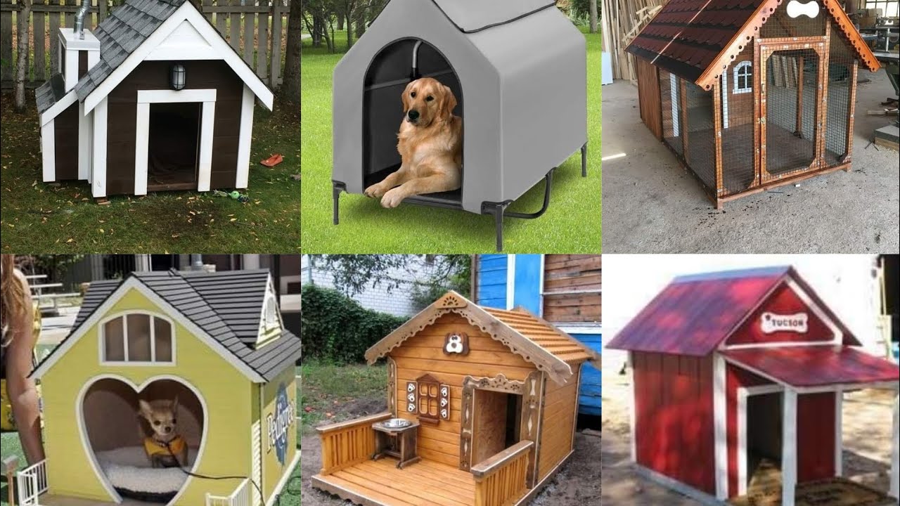 Top  dog home style cities 2023😍😍🏡