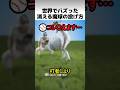 世界でバズった消える魔球の投げ方