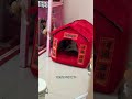 Earthquake at My House: Cat's Adventure Unleashed