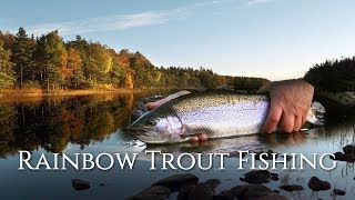 Autumn Rainbow Trout @CarpeDiemFlyfishing