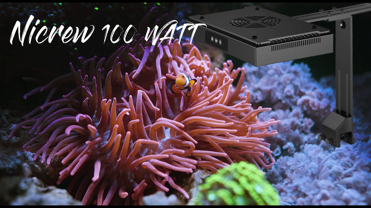 Nicrew 100watt - Tutorial set up Dual Channel LED Light timer