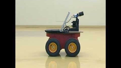 Visual-servo control of a human-following robot