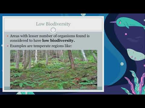 Видео: Биологийн төрөл зүйл бага, өндөр гэж юу вэ?