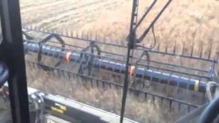 Straight cut peas 2014