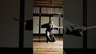 cat kung fu master training with swords #cat #supercat #kungfucat #softraverecords #housemusic2025