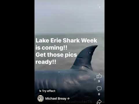 Lake Erie Shark Week - YouTube
