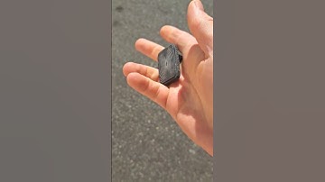 Guilt & Worry Free Fun!