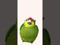 cool video