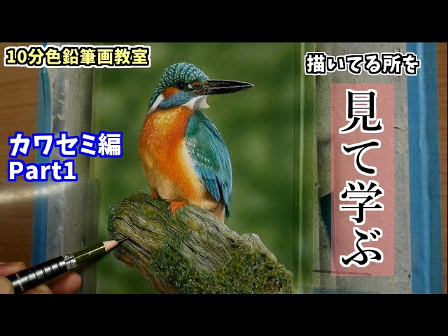 10分色鉛筆画教室】見て学ぶカワセミの描き方Part1 - YouTube