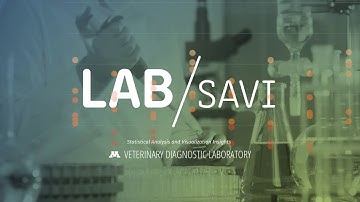 LAB/savi - putting VDL data on the map
