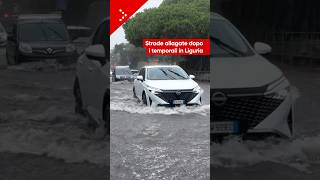 Temporali in Liguria, strade come fiumi a Rapallo