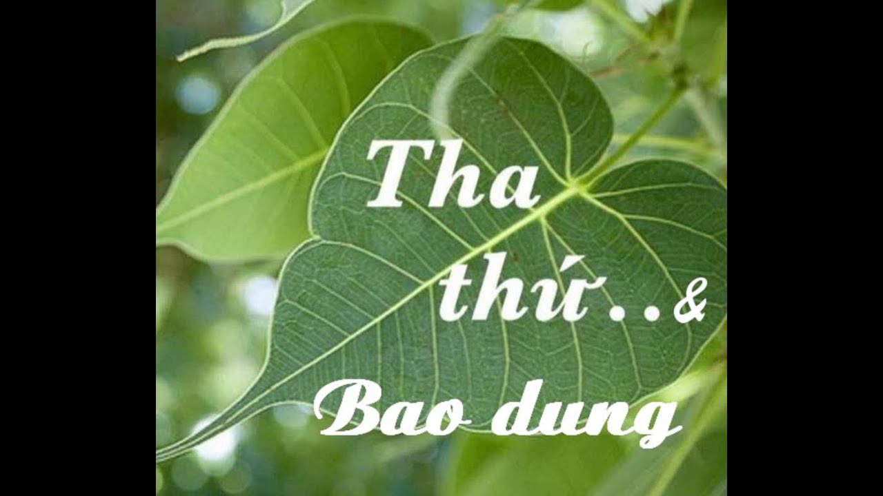 Tại sao chúng ta nên tha thứ cho người khác? Khi nghi ngờ hãy chừa chỗ cho sự tin tưởng & ngược lại