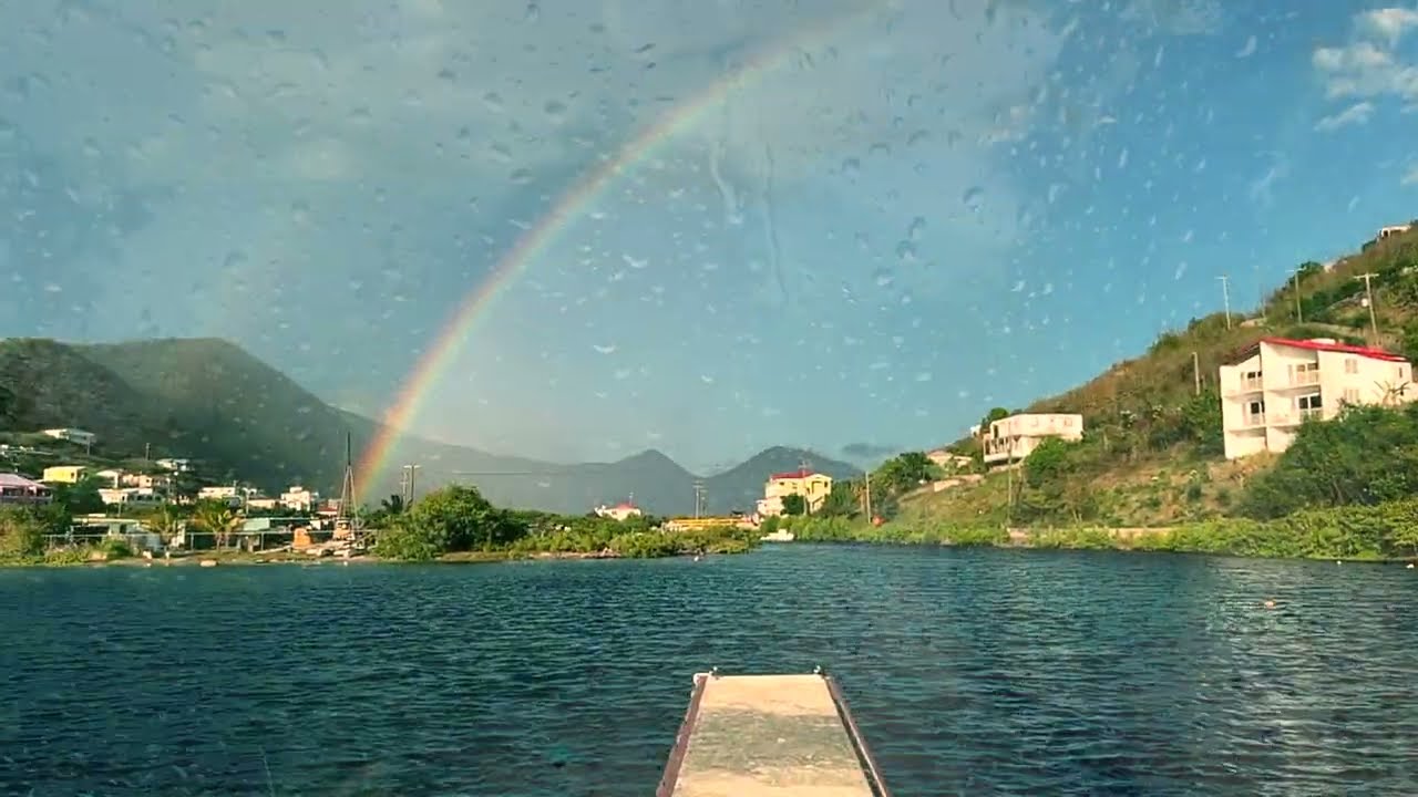 Tortola x Quito Rymer