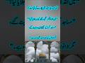 ہم نے جنگ نہیں صرف امن مانگا ہے مگر جواب میں ہمیں پھر سے زخم ملے