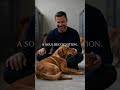 Why Shelter Dogs Choose Their Humans 🐾🏥 #TheStorytellingDog #ShelterDogs