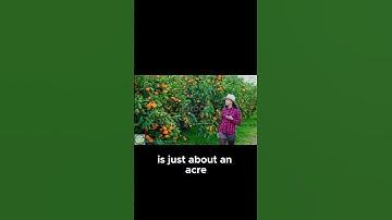 Transforming a Plain Field into a Thriving Ecosystem 🌱 | #Shorts