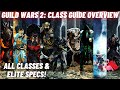 Guild Wars 2: Class Guide 2020 - ALL Classes & ELITE Specializations - What Class Should I Play?