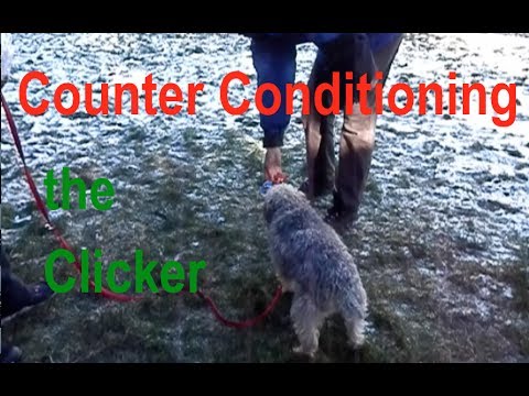 is-your-dog-scared-of-the-clicker?-here's-how-to-counter-condition-it.