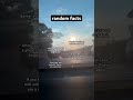 Lyrics Dandelions Lyrics Dandelions
