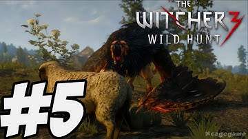 The Witcher 3 Wild Hunt - Gameplay Walkthrough Part 5 [ HD ]